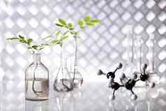 实验室玻璃器皿基因修改植物