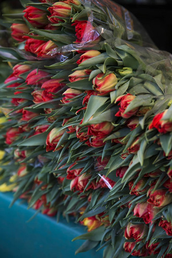 大集团郁金香花市场巴黎