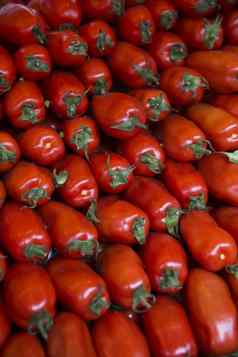 完美的形状的西红柿完整的框架蔬菜市场