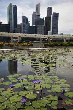 城市景观新加坡金融中心