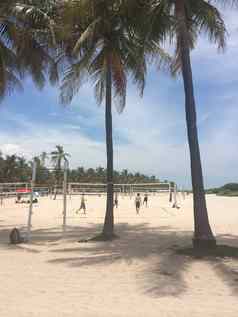 南海滩沙滩排球