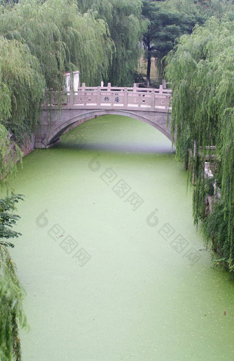 中国人绿色运河