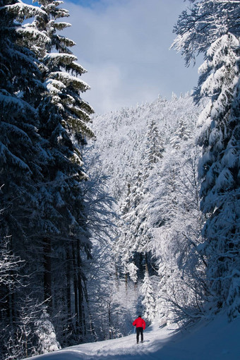 越野滑雪年轻的男人。越野滑雪