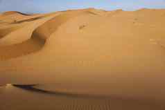 摩洛哥沙漠沙丘merzouga色彩斑斓的充满活力的旅行主题