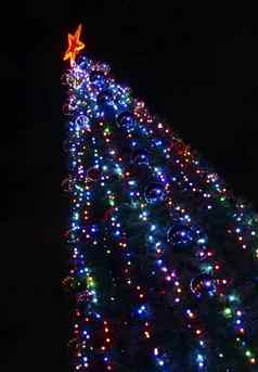 圣诞节树装饰色彩斑斓的明亮的灯裁剪他
