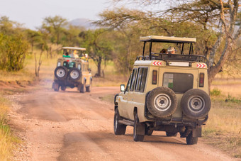 吉普车非洲野生动物Safari