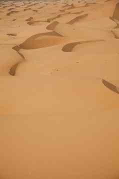 沙漠沙丘摩洛哥色彩斑斓的充满活力的旅行主题