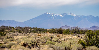 景观汉弗莱斯峰最高的亚利桑那州