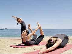 作文bikram瑜伽提出了海滩