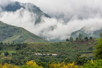 乌鲁古鲁山东部地区坦桑尼亚