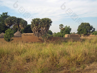 非洲村视图
