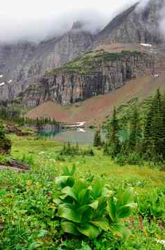 景观视图高山草地湖山