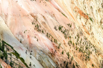 细节风景优美的视图大峡谷黄石公园