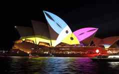 悉尼歌剧房子生动的悉尼巨嘴鸟