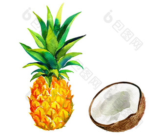 菠萝椰子插图