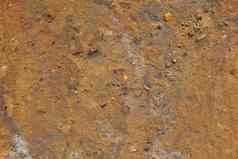 坚韧不拔的金棕色（的）砂岩