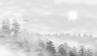 不明飞行物景观有雾的森林日出