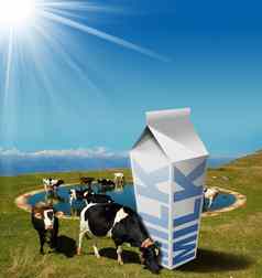牛放牧牛奶饮料纸箱