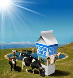 牛放牧牛奶饮料纸箱