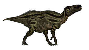 shantungosaurus恐龙渲染