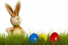 复活节兔子草复活节鸡蛋