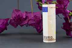 欧元货币前面红色的叶子花属灰色的背景