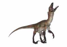 恐龙utahraptor