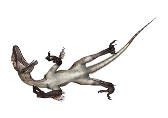 恐龙utahraptor