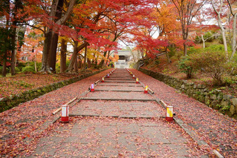 日本寺庙入口