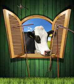 农业牲畜概念开放窗口