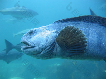 水族馆