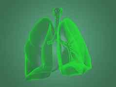 x射线肺解剖学