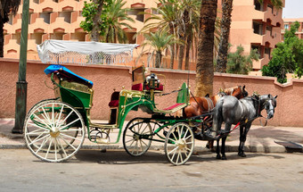 马拉喀什传统的马车