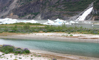 林业局冰川国家公园朱诺阿拉斯加
