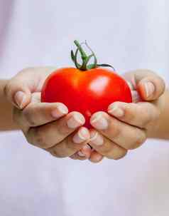 女孩持有番茄健康的食物概念