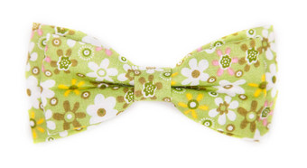 绿色弓领带模式夏天花孤立的白色背景