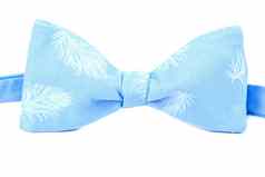 蓝色的弓领带羽毛模式孤立的白色使用