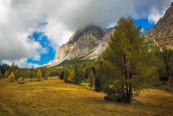 景观秋天一步falzarego白云石山脉意大利阿尔卑斯山脉