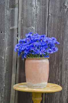 美丽的花束蓝色的矢车菊古董粘土能