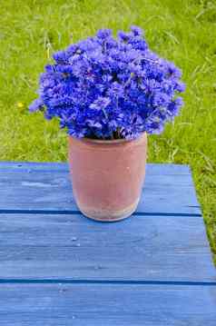 美丽的花束野生矢车菊花瓶蓝色的表格