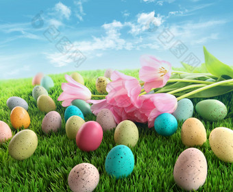 复活节鸡蛋粉红色的郁金香草