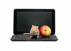 鼠标苹果移动PC