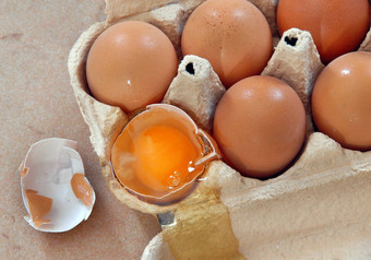 鸡蛋盒子
