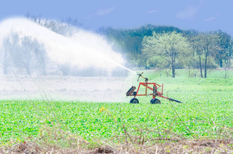 水<strong>灌溉</strong>洒水装置场蔬菜