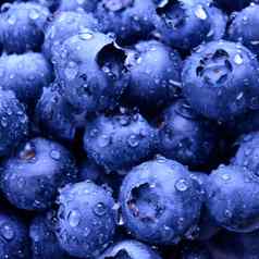 背景新鲜的成熟的甜蜜的蓝莓覆盖水滴