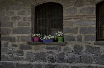 古老的窗口石头墙白色堇型花花违反了三原色