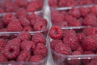 新鲜的多汁的树莓市场