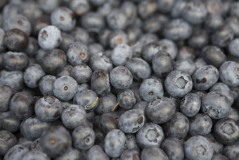 新鲜的多汁的蓝莓市场