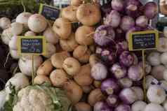 新鲜的蔬菜布鲁塞尔豆芽萝卜萝卜萝卜农民市场