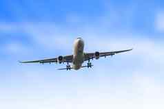 乘客业务飞机飞行蓝色的天空
